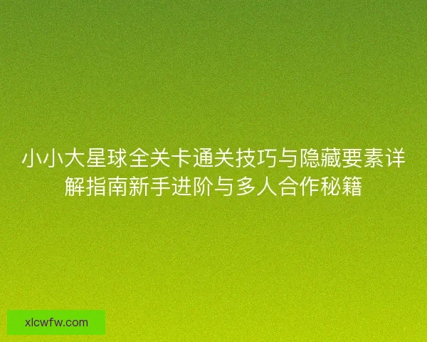 小小大星球全关卡通关技巧与隐藏要素详解指南新手进阶与多人合作秘籍