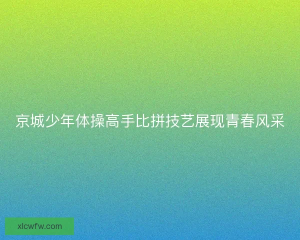 京城少年体操高手比拼技艺展现青春风采