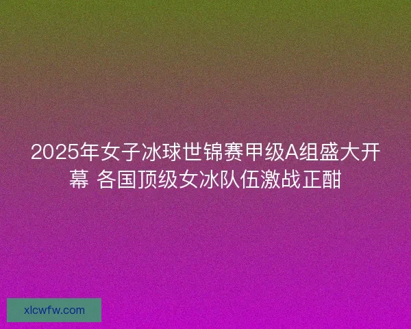 2025年女子冰球世锦赛甲级A组盛大开幕 各国顶级女冰队伍激战正酣