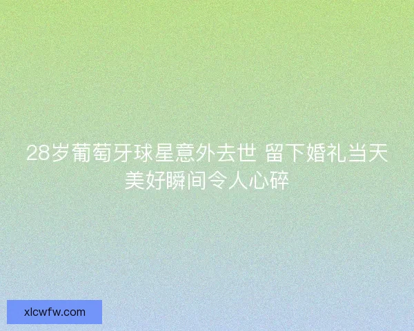 28岁葡萄牙球星意外去世 留下婚礼当天美好瞬间令人心碎