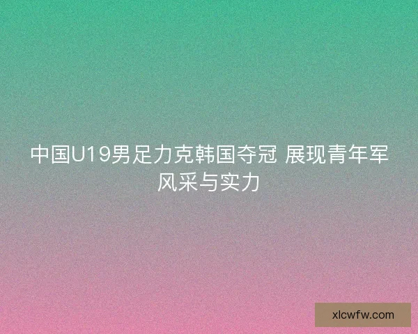 中国U19男足力克韩国夺冠 展现青年军风采与实力
